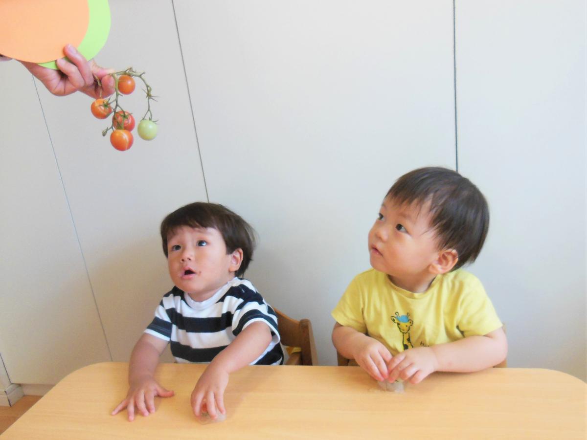 GENKIDSいずみ中央保育園の調理補助（アルバイト・パート）資格なしOK