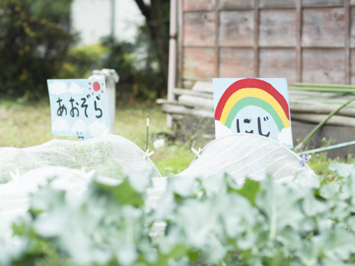 アスクスポーツ保育園 こぶうちの調理補助（アルバイト・パート）資格なしOK